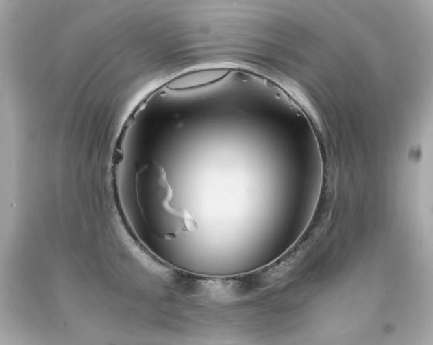 X0000091920805200709121537
