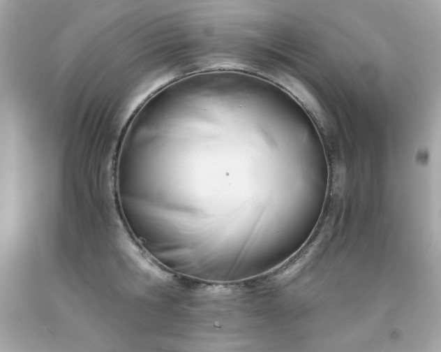 X0000091920806200709121537