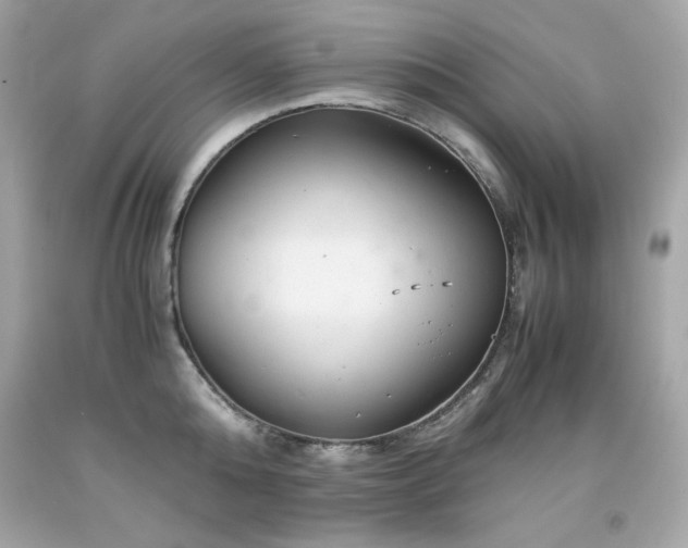 X0000091920808200709121537