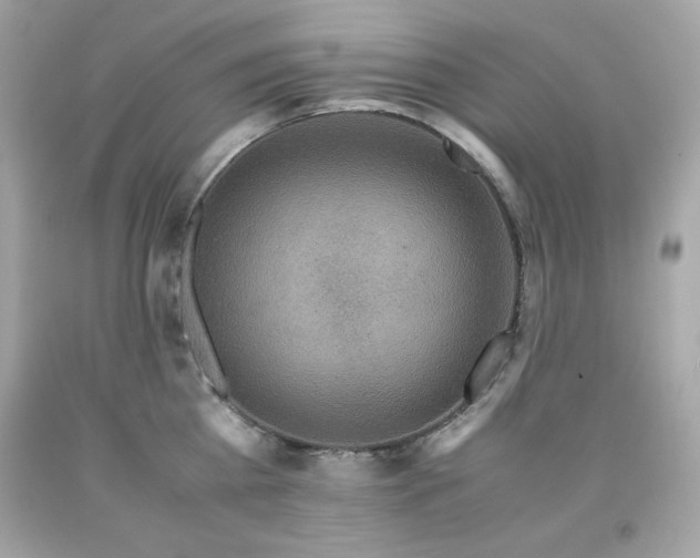 X0000091920809200709121537