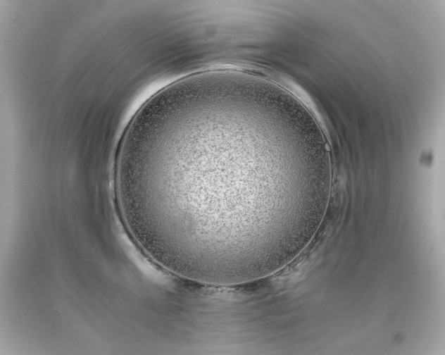 X0000091920811200709121537