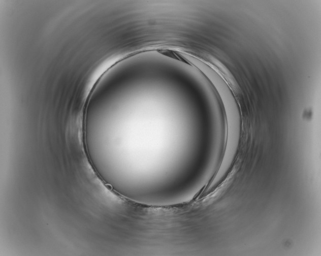 X0000091920812200709121537