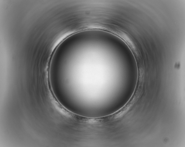 X0000091920814200709121537