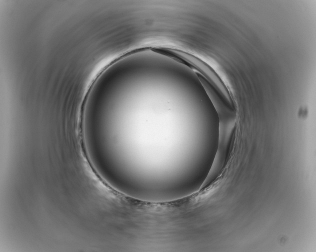 X0000091920815200709121537