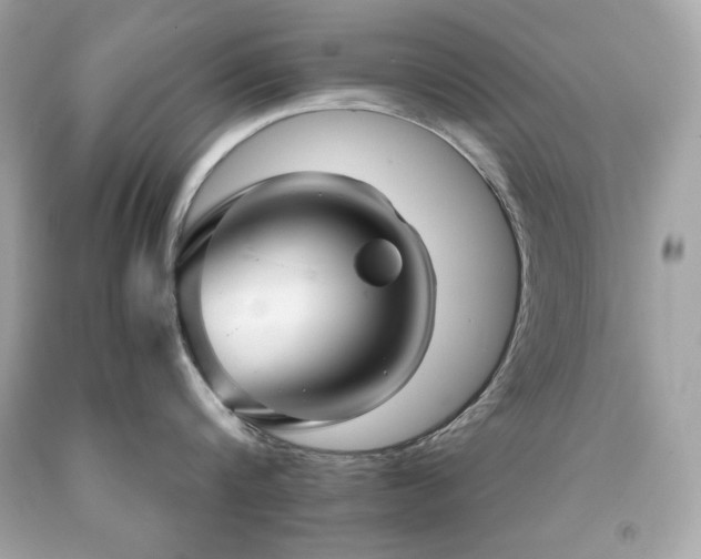X0000091920816200709121537