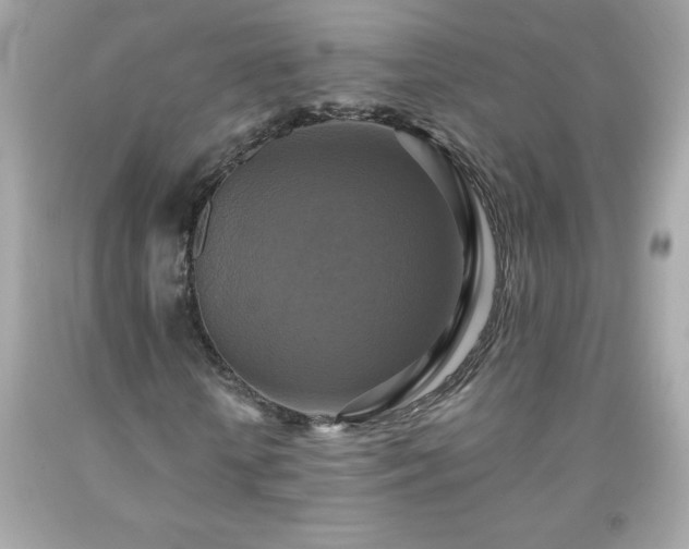 X0000091920818200709121537