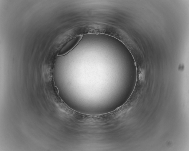 X0000091920819200709121537