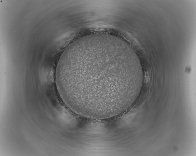 X0000091920820200709121537