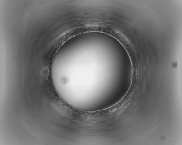 X0000091920821200709121537