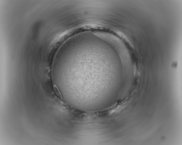 X0000091920822200709121537