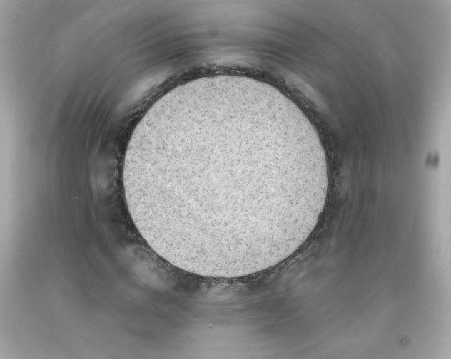 X0000091920824200709121537
