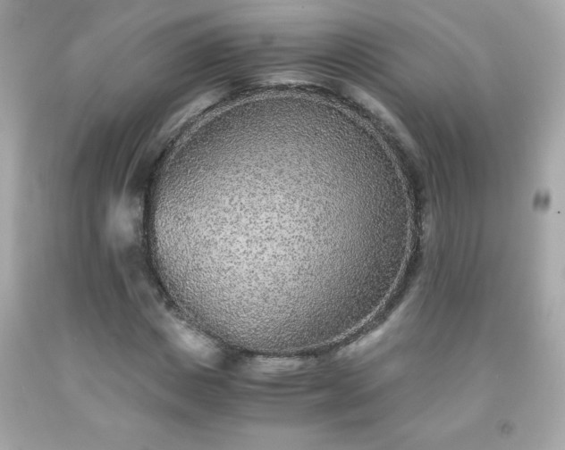 X0000091920825200709121537