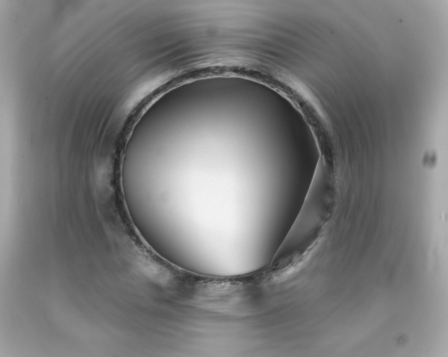 X0000091920826200709121537