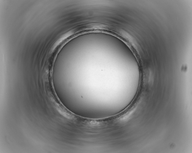X0000091920827200709121537