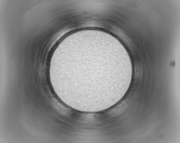X0000091920828200709121537