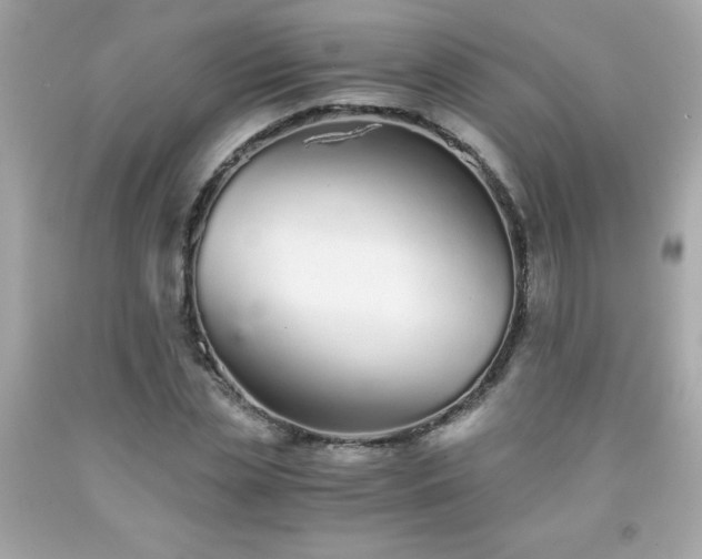 X0000091920829200709121537