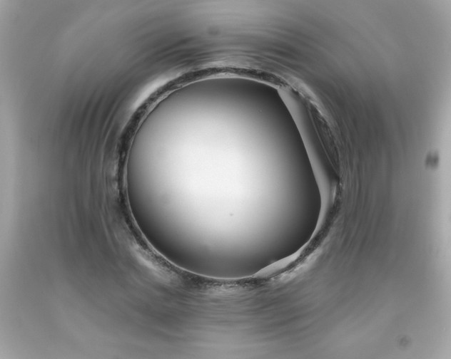X0000091920830200709121537