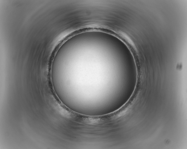X0000091920831200709121537