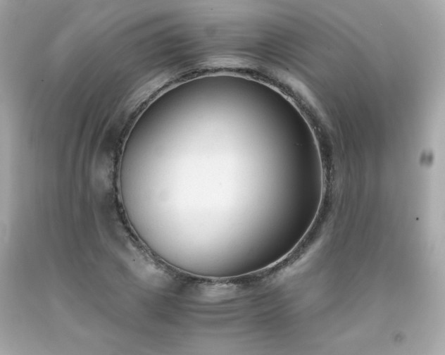 X0000091920833200709121537