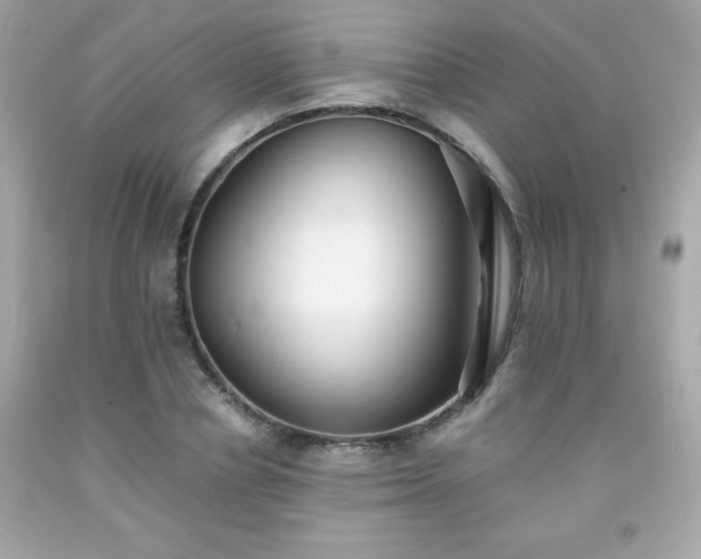 X0000091920834200709121537