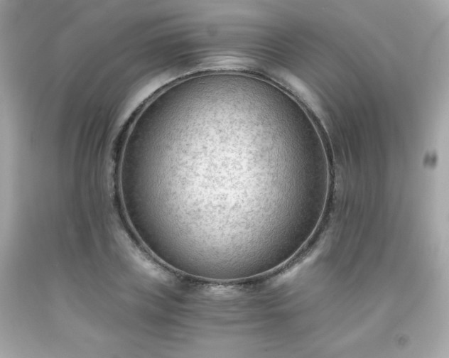 X0000091920835200709121537
