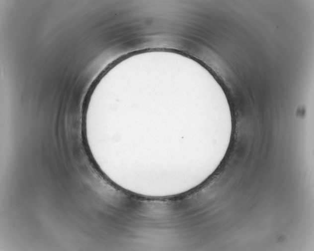 X0000091920836200709121537