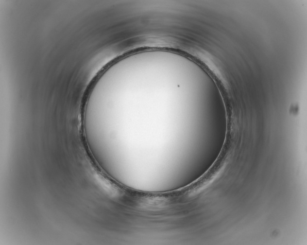 X0000091920837200709121537