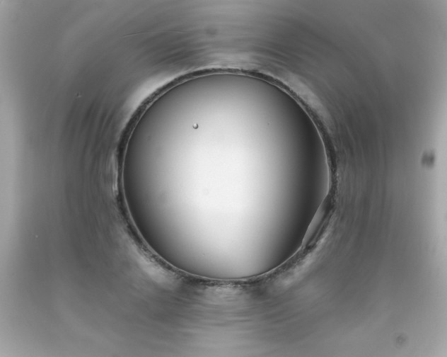 X0000091920838200709121537