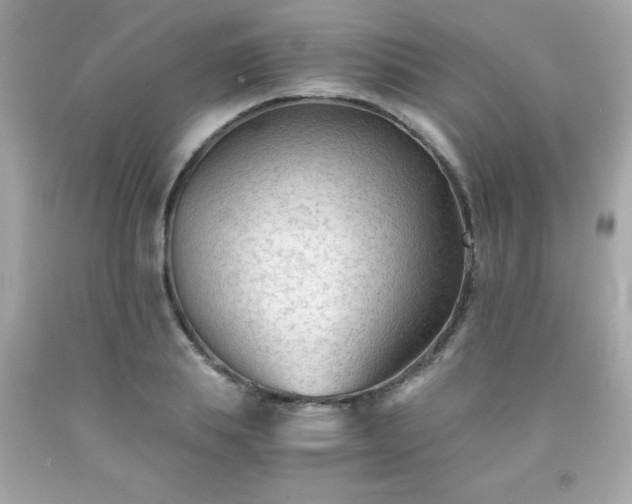 X0000091920839200709121537