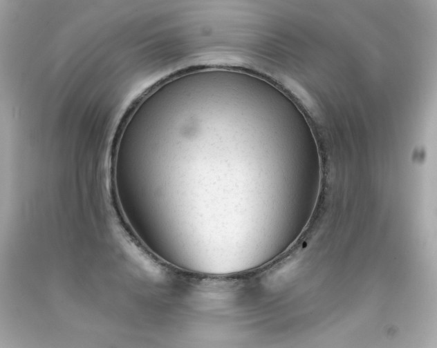 X0000091920840200709121537