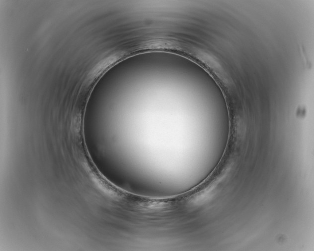 X0000091920841200709121537