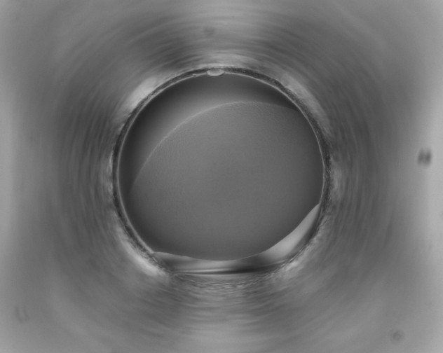X0000091920842200709121537