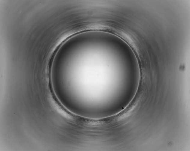 X0000091920843200709121537