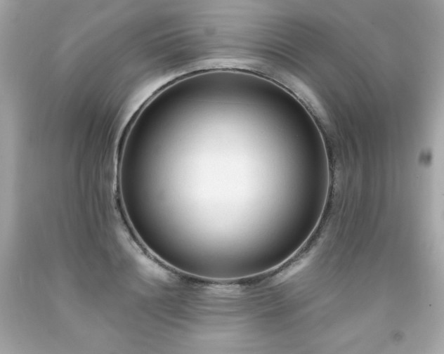 X0000091920844200709121537