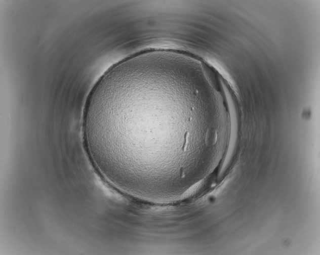 X0000091920845200709121537