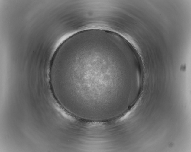 X0000091920846200709121537