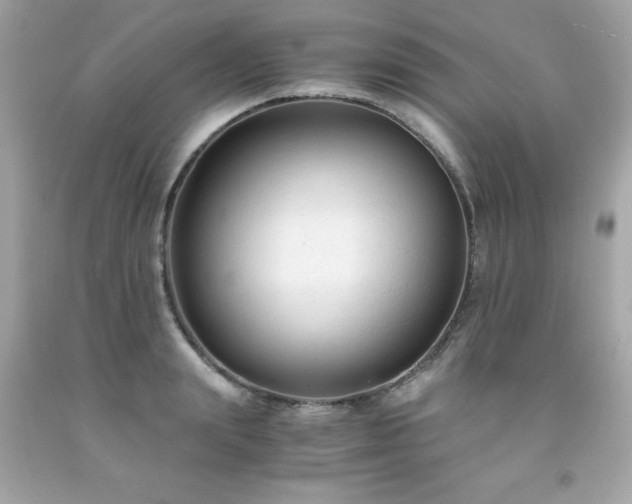 X0000091920847200709121537