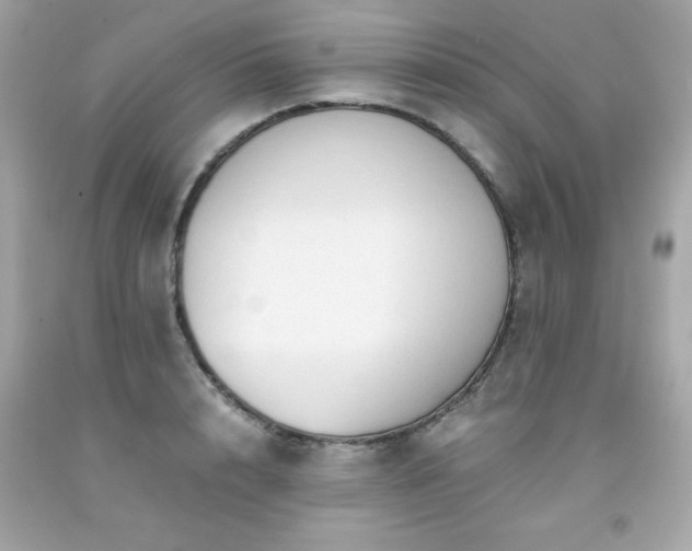 X0000091920848200709121537