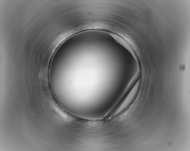 X0000091920850200709121537