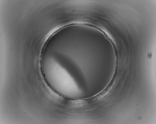 X0000091920853200709121537