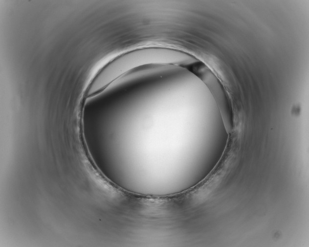 X0000091920854200709121537