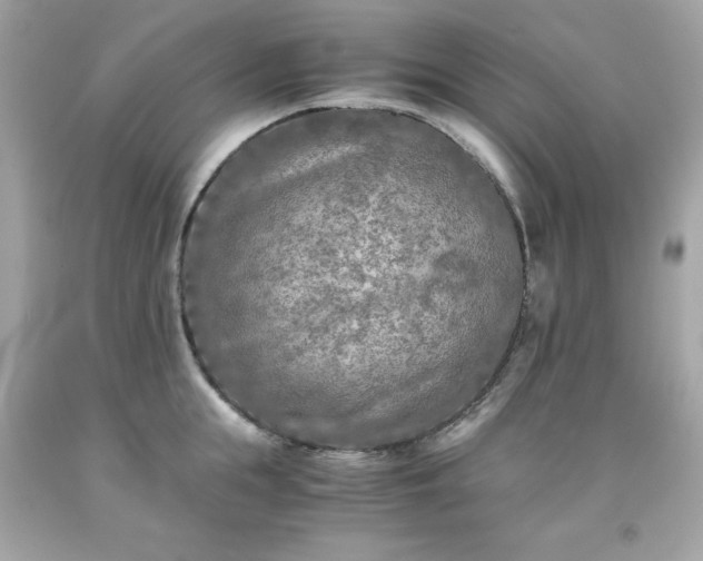 X0000091920855200709121537