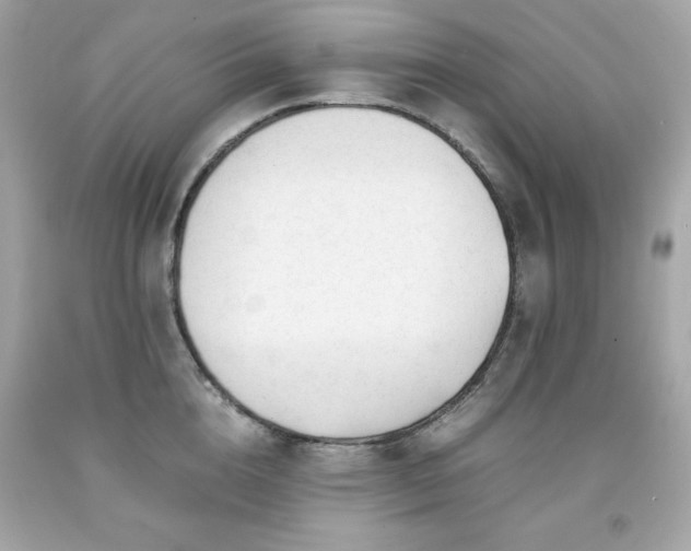 X0000091920856200709121537