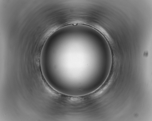 X0000091920857200709121537