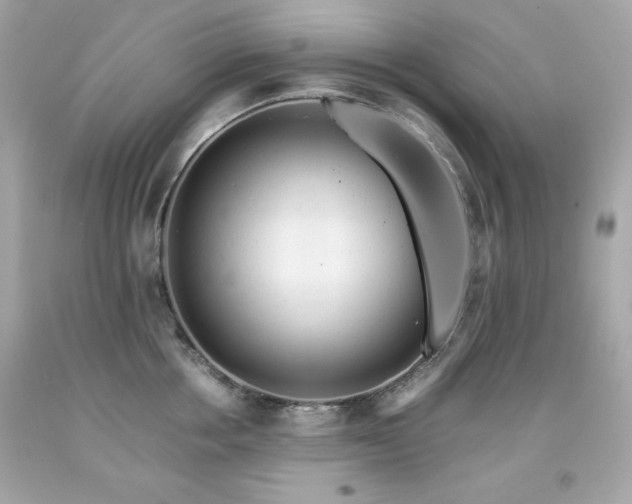 X0000091920858200709121537