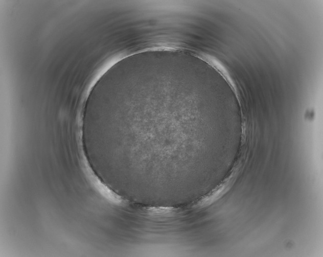 X0000091920859200709121537