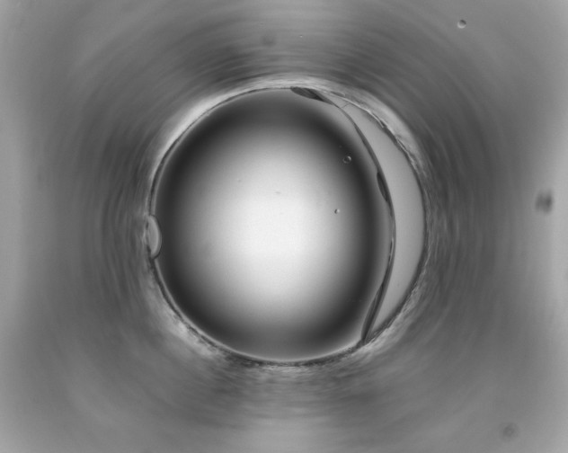 X0000091920860200709121537