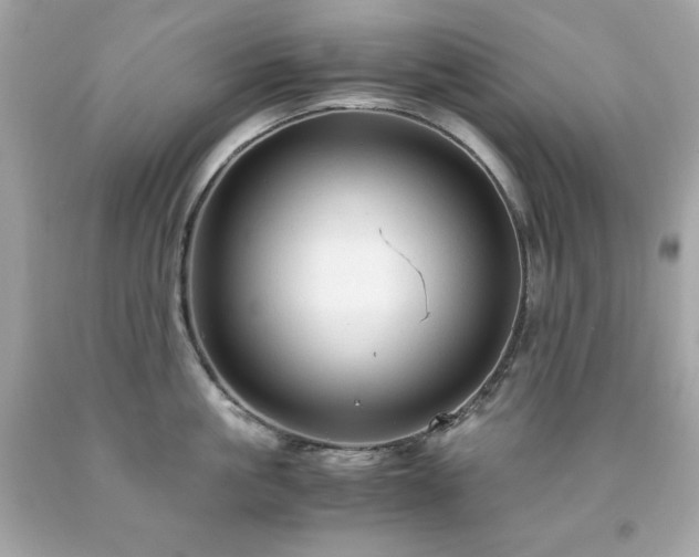 X0000091920861200709121537