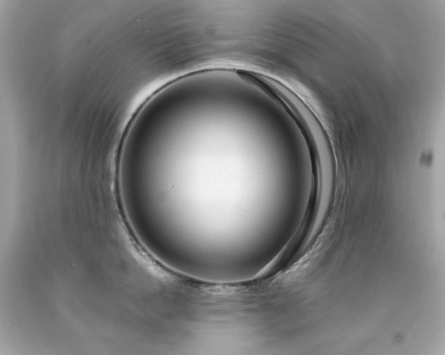 X0000091920862200709121537