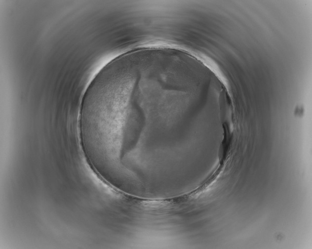 X0000091920863200709121537